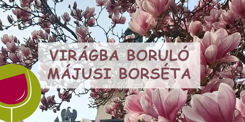 Virágba boruló májusi borséta